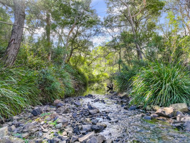 Lot 193 / 443 Back Creek Road, NSW 2622