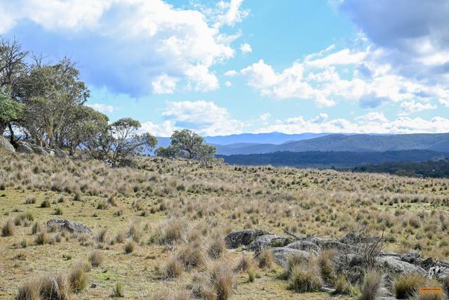 40 Hobbs Lane, NSW 2627