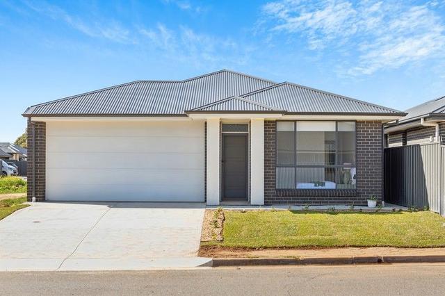 56 Ayfield Road, SA 5096