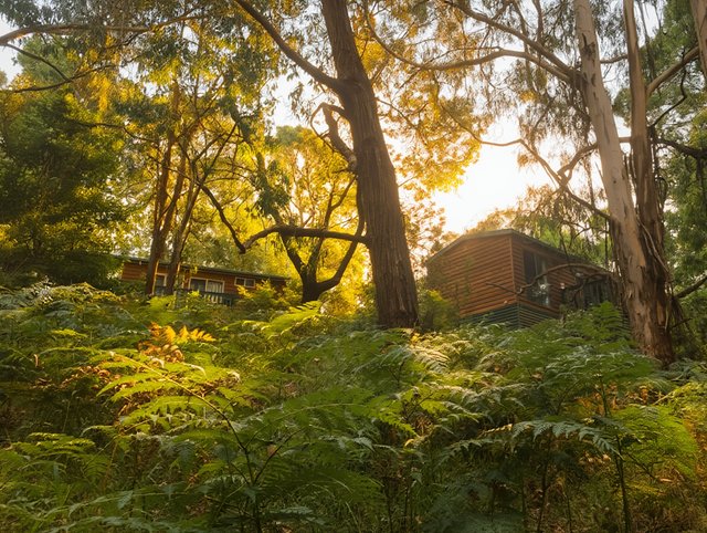 65 Pennyroyal Station Road, VIC 3235