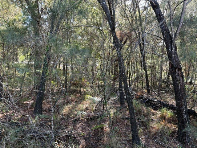 31 Tahlin Drive, QLD 4184