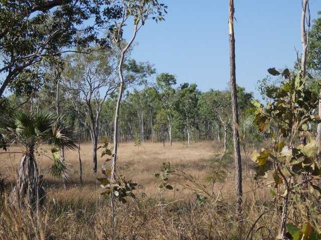 1405 Letchford Road, NT 0822