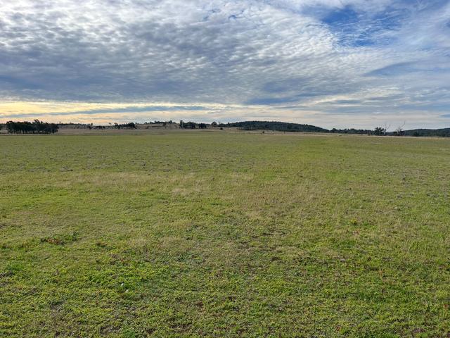 989 South Valley Road, NSW 2371