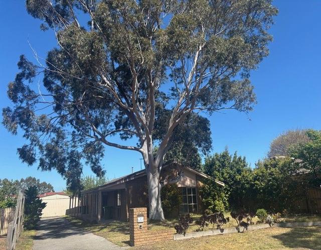 3 Stirrup Court, VIC 3810