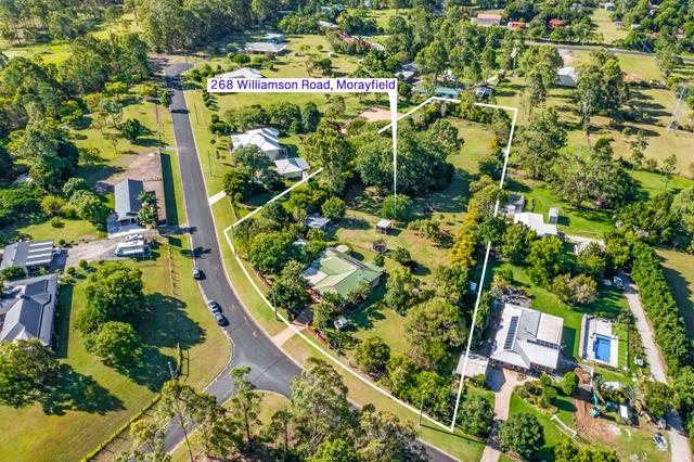 268 Williamson Road, QLD 4506