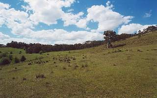 View (2001-11-02)