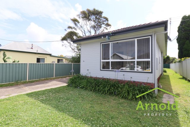20 Buxton Street, NSW 2289