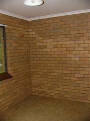 Standard Photo (2010-12-08)