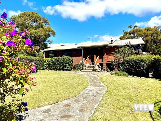 23366 Tasman Highway, TAS 7215