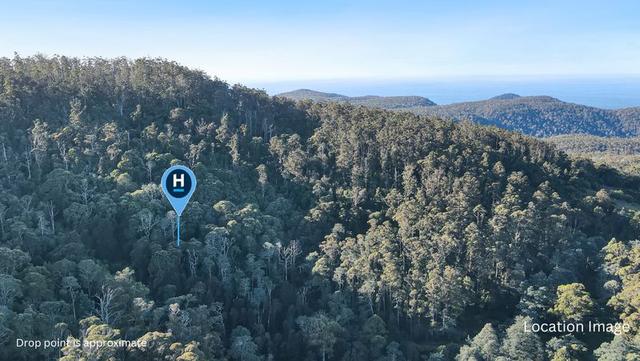 PID 7682518 Mount Elephant Road, TAS 7215
