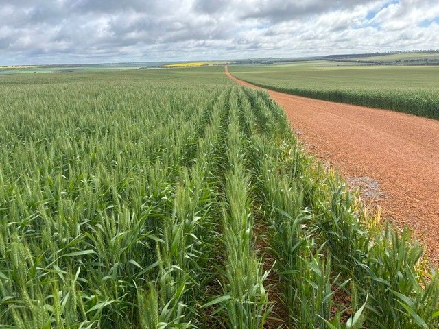 1396 Tabletop Road, WA 6525