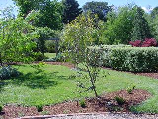 Front garden