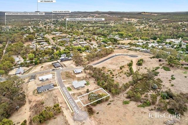 8 Manna Gum Way, VIC 3451