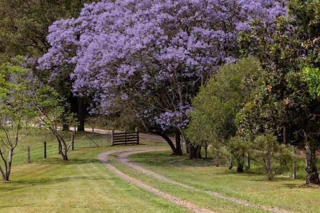 31 Middlebrook Road, NSW 2429