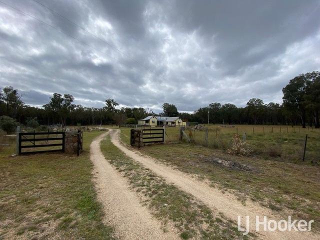 445 Old Stannifer Road, NSW 2360