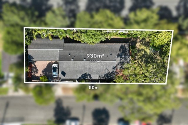 118 Newton Road, NSW 2135