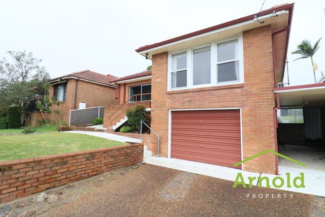 56 Jennifer Street, NSW 2290