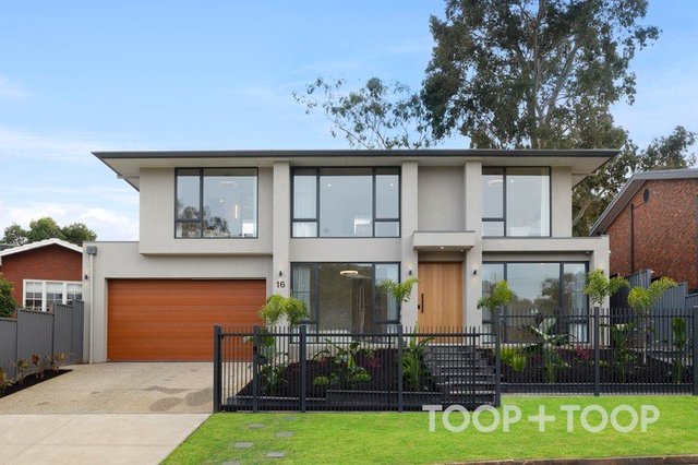 16 Lutana Grove, SA 5075