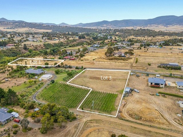 1 & 3/173 Tea Tree Road, TAS 7030