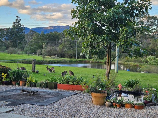 60 Mount Scanzi Road, NSW 2577