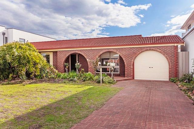 19 Newcombe Avenue, SA 5020