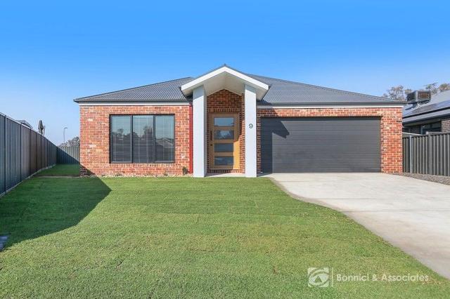 9 Holly Tree Court, NSW 2642