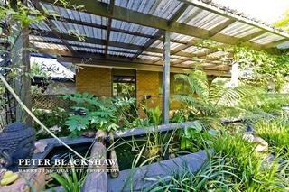 Pond (2012-08-15)