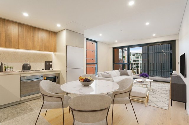 397/12 Peters Street, NSW 2017