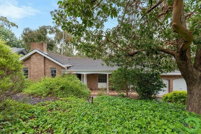 12 Shepherd Court, SA 5051