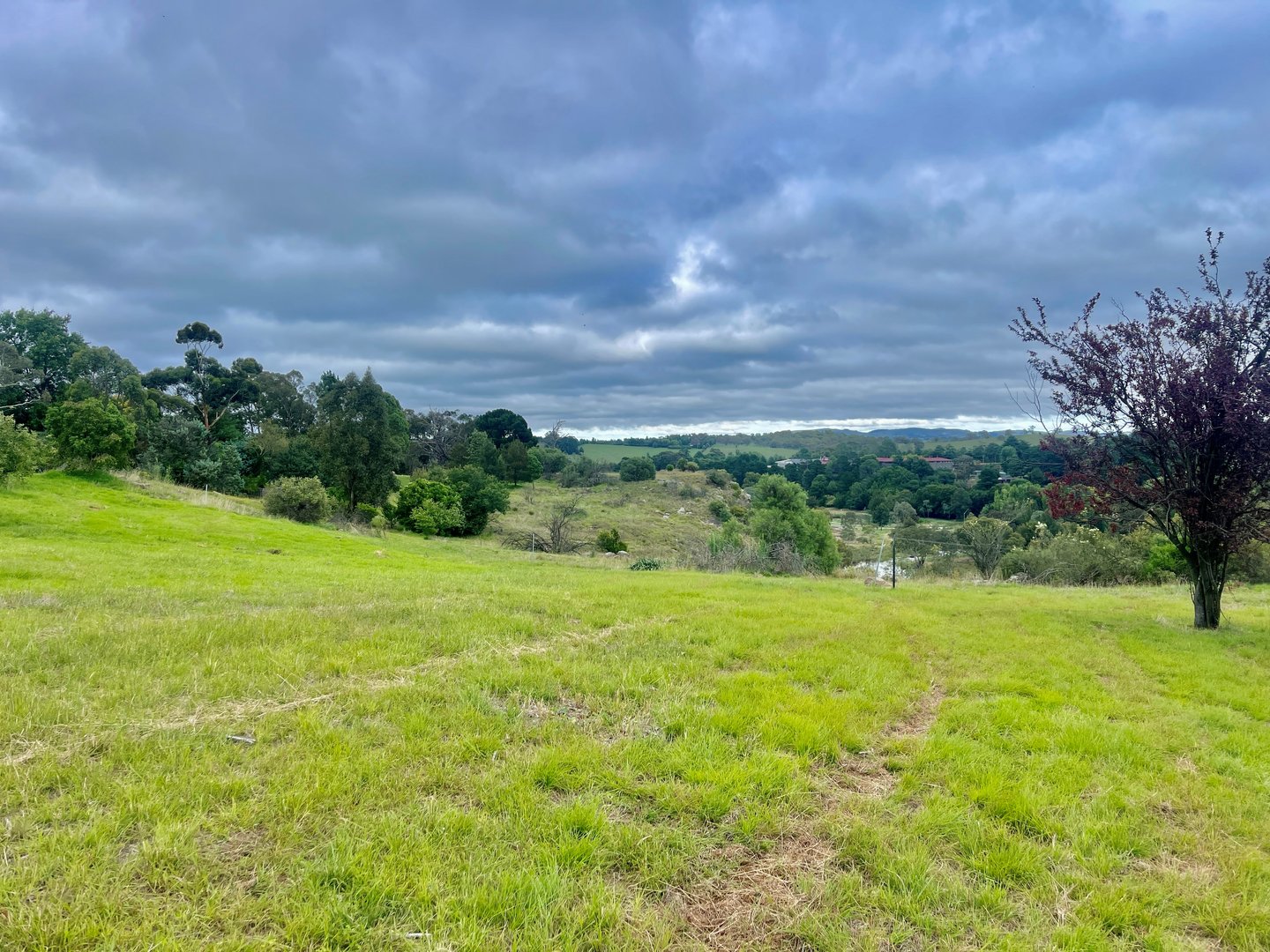 17A Meehan Street, Yass NSW 2582 Allhomes