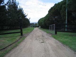 Drive Way (2007-03-30)