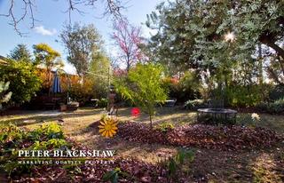 Back garden (2013-06-12)