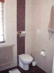 Bathroom (2014-02-20)