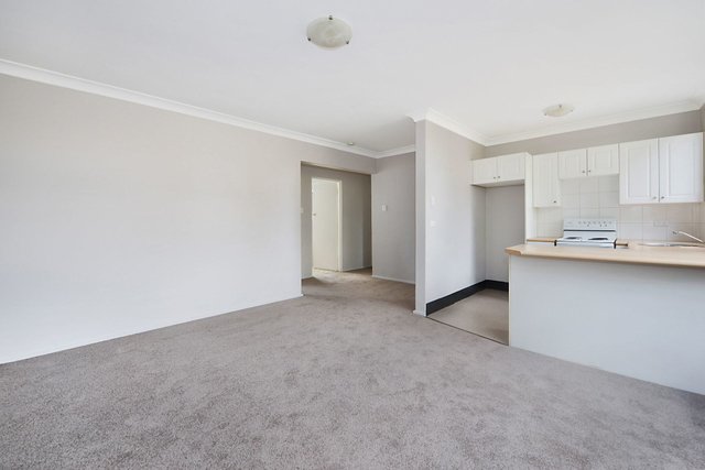 3/89 Cowper Street, NSW 2031