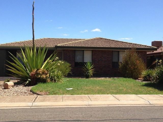 17 Causby Crescent, SA 5118