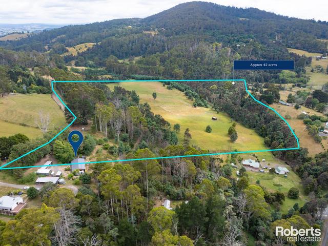 92 Camerons Road, TAS 7268