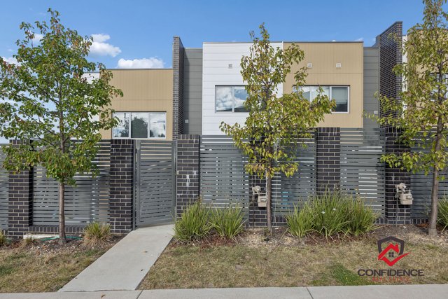 8/26 Feilman Street, ACT 2913