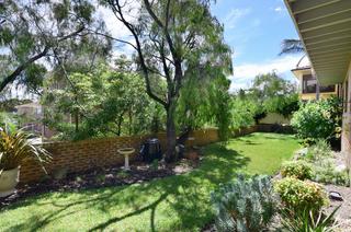 Landscaped Yard