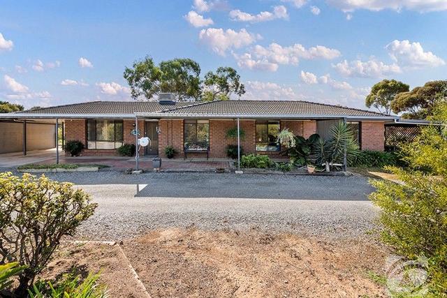 34 Dublin Road, SA 5502