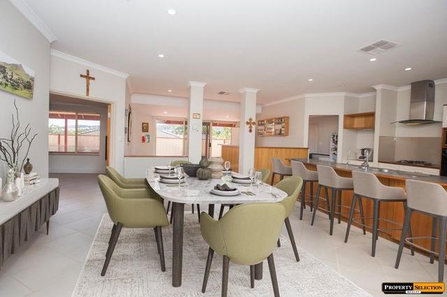 41 Dongara Circle, WA 6056