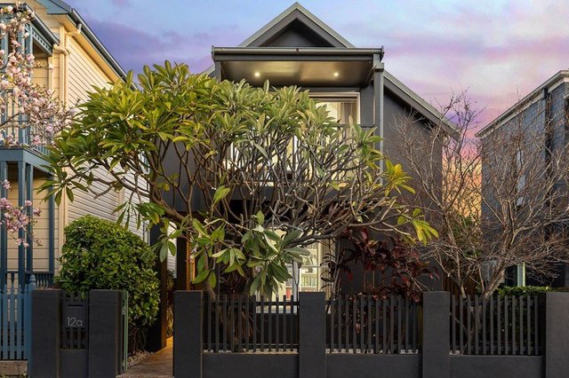 12A Theodore Street, NSW 2041
