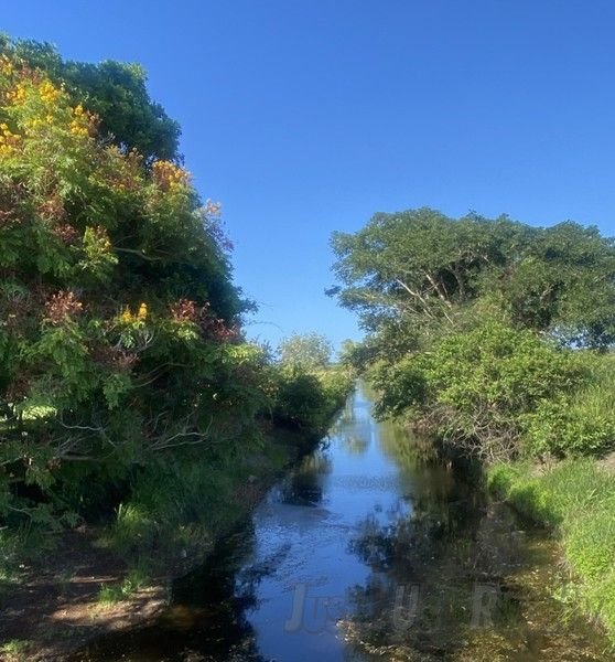 327 Moore Park Road, QLD 4670