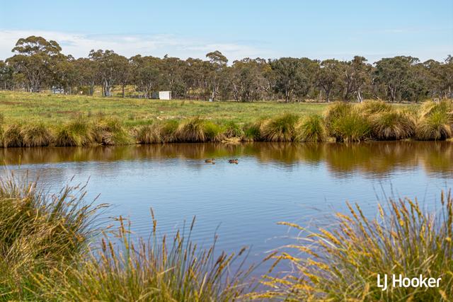 Carrowilah - Carrowilah, NSW 2620