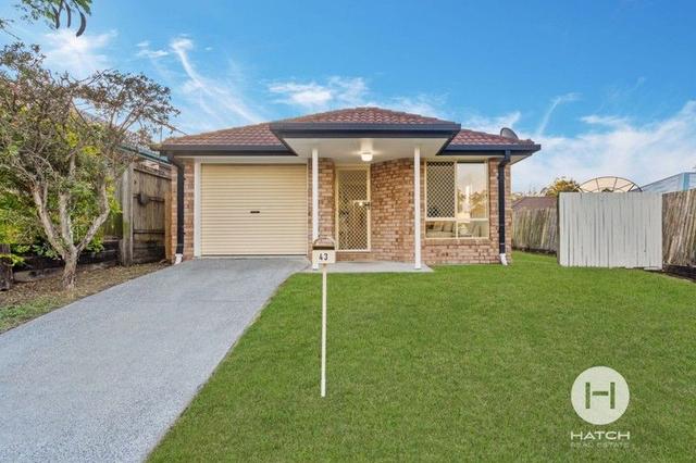 43 Picot Crescent, QLD 4113