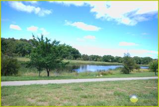 Ornamental Pond