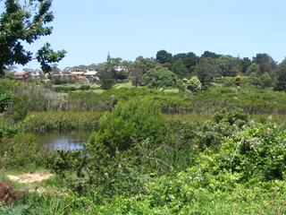 View to golf course