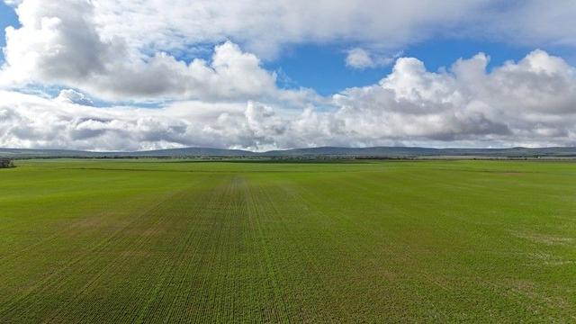 401 Mundoora-Wokurna Rd, SA 5555