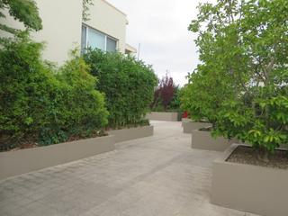Garden Path to property (2015-03-18)