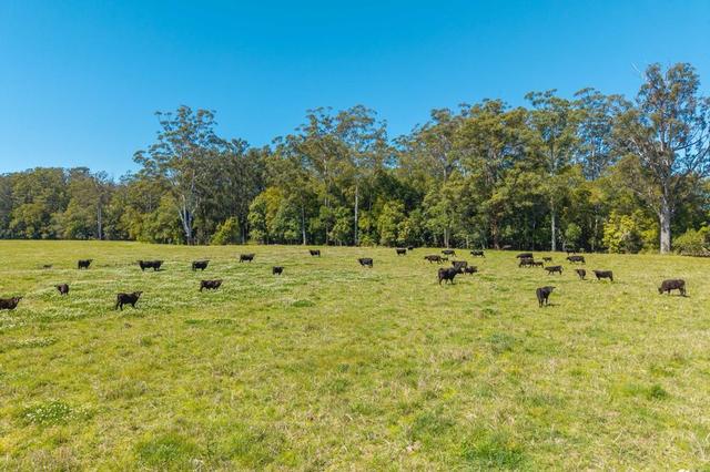 102 Fishers Ridge Rd, NSW 2446