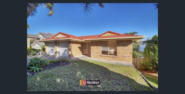 25 Buckinghamia Place, QLD 4116
